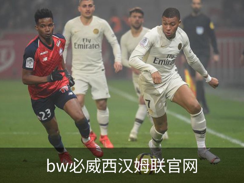 走进bw必威西汉姆联官网